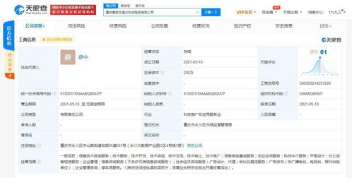 愛奇藝在重慶成立科技公司，拓展創(chuàng)業(yè)空間與信息系統(tǒng)集成服務